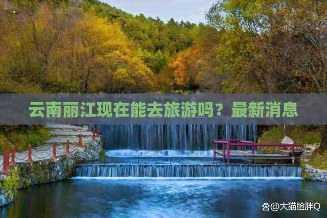 云南旅游最新动态，开启多彩云南探索新篇章