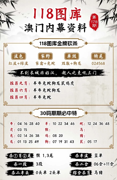 2024新澳门正版免费资木车,实地说明解析_创意版40.711