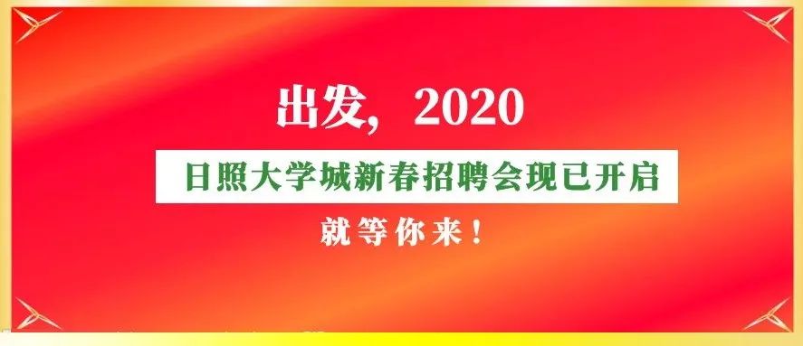 日照招聘网最新招聘动态深度解读与解析报告