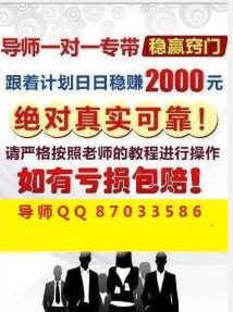 2024年正版免费天天开彩,实用性执行策略讲解_mShop99.837